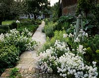 private garden Sussex Design Fiona Lawrenson white border with cobblestone path in summer Hesperis Euphorbia