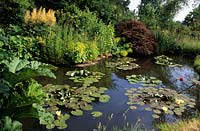 private garden Sussex medium sized informal pond in country garden with water lilies