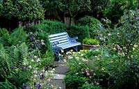 Gardener s Cottage Sussex blue wooden bench in shady garden Rosa glauca berries Aquilegias