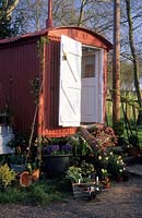 unusual garden shed gypsy caravan