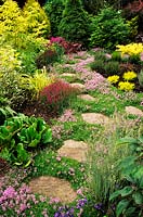 Pax Cottage Surrey thyme path through mixed borders in summer stepping stones thymus vulgaris
