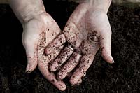 hands in earth lifting texture feel organic soil practical home grown spring April kitchen garden plant