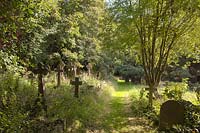 Worth graveyard Sussex overgrown wildlife sanctuary traditional country church Saxon ancient trees sun sunny grass path quiet