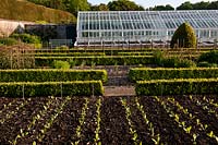 walled kitchen garden cut flowers borders early summer flowers May West Dean boxwood hedges greenhouses glasshouses view paths