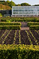 walled kitchen garden and cut flowers atWest Dean in Sussex
