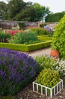 cut flowers rows growing West Dean walled garden Sussex summer flower plant July flowers blooms blossoms view stakes lavender