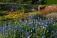 cut flowers rows growing West Dean walled garden Sussex England summer flower plants July flowers blooms blossoms view stakes