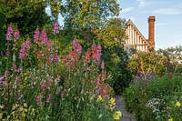 the Wall Garden at Great Dixter in July