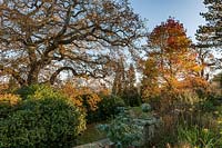 Borde Hill garden in autumn