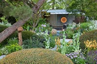 The Morgan Stanley Garden, view of the garden with clipped taxus domes, Pinus nigra with its curved trunk as well as Papaver somniferum 'Black Paeony' and Verbascum 'Clementine', and at the back a relaxation pod - Designer: Chris Beardshaw - Sponsor: Morgan Stanley