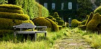 The Thyme Walk with Golden Yew Topiary, Highgrove, June, 2019.