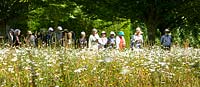 Visitors in The Wild Flower Meadow, Highgrove, June, 2019.
