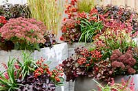 Autumn containers