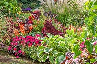 Colorful border with annuals