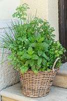 Herb mix in a basket