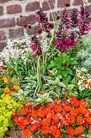 Colorful annual mix