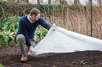 Covering a seedbed in a vegeatble garden with horticultural fleece to warm up the earth before sowing in early spring.