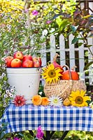 Autumn harvest of fruit vegetables and flowers on a table covered with a checked blue and white tablecloth.