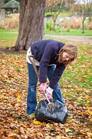 Woman piercing bin bag containing damp leaves with a fork while making leaf mould. 