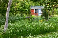 Garden building in wood with grass path and cow parsley, Herefordshire.
