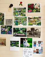Inspirational garden pictures in office.
