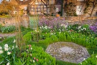Cutting garden with purple honesty, tulips and Narcissus 'Geranium' Brilley Court Farm, Whitney-on-Wye, Herefordshire