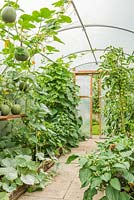 Polytunnel with tomatoes, peppers, squashes and cucumbers