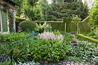 Border in courtyard includes Hostas 'Crispula', Astilbe 'Deutschland', Geranium 'Rozanne', Rose 'Rhapsody in Blue', Hemerocalis and Delphinium belladonna 'Bellamosum'