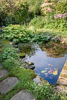 Pond with lilies and stone borders, in St Stephens Avenue, St Albans, Hertfordshire, UK.