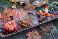 An autumnal natural decoration.
