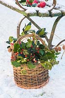 Basket of winter foliage in snowy garden.