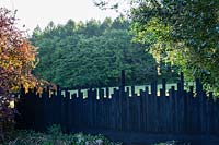 Black-painted wooden fence with irregular top and view to trees beyond 

 