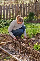Woman weaving pliable stems around supports to create edging for raised bed