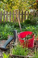 Plastic trug for holding plant debris with tools and boots in garden