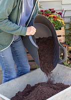 Filling a wheelbarrow with compost from a plastic trug