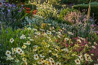 Mixed borders at Old Erringham Cottage in Sussex