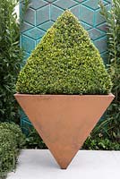Inverted steel topiary planter with Box and blue decorative screening -