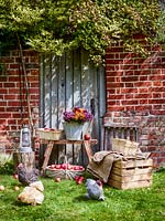 Autumnal arrangement in rustic setting with chickens. 