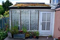 Small conservatory with unusual window glazing and green roof, North London, UK. 