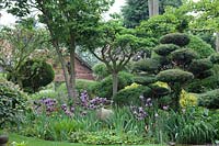 Flowerbeds and borders in the Pure Land Japanese Meditation Garden, Newark, UK.