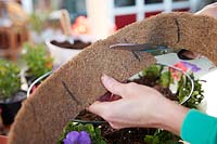 Cutting coco liner for second layer of planting in hanging basket