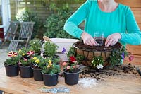 Filling hanging basket with soil after adding watering device