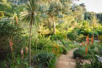Steps lead down the Mediterranean Bank at Abbotsbury Subtropical Gardens, Dorset, UK.
