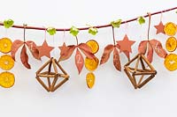 Festive advent branch of dried orange, hellebore leaves and flowers, stars and cinnamon sticks.