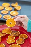 Removing oven dried orange slices from oven tray