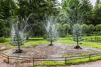 Firs trick water fountains, Peterhof Palace,  Saint-Petersburg, Russia.  UNESCO World Heritage Site.