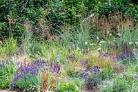 Salvia, Lavandula, Pennisetum vilosum, Allium and Miscanthus sinensis 'Zebrinus' - Food for Thought, RHS Tatton Park Flower Show 2018