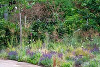 Salvia, Lavandula, Pennisetum vilosum, Allium and Miscanthus sinensis 'Zebrinus' - Food for Thought, RHS Tatton Park Flower Show 2018