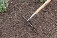 Raking soil to cover seed after sowing Nigella 'Miss Jekyll' 