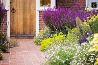 Brick path leading to front door, flower beds with Erigeron karvinskianus and Salvia nemorosa 'Amethyst' - Balkan Clary, Alchemilla mollis - Lady's Mantle AGM